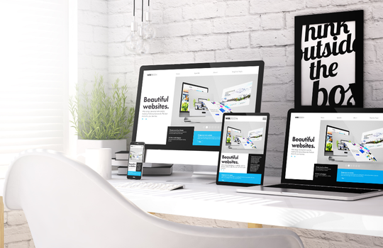 Website Development Front Banner